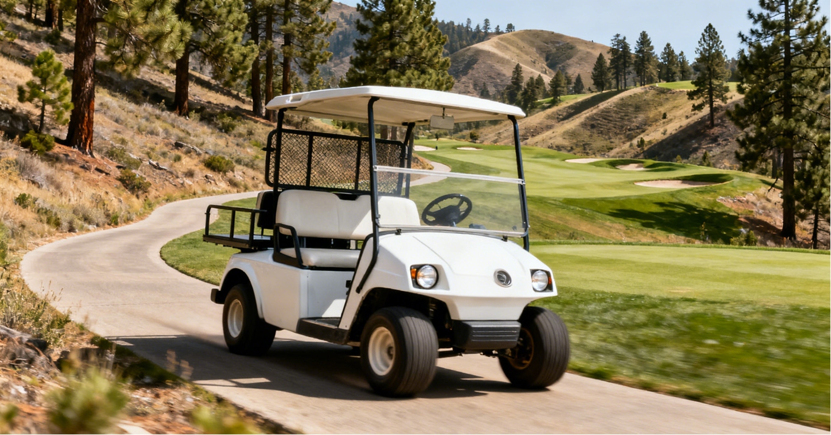 How Many Lithium Batteries Do I Need for a 48V Golf Cart?