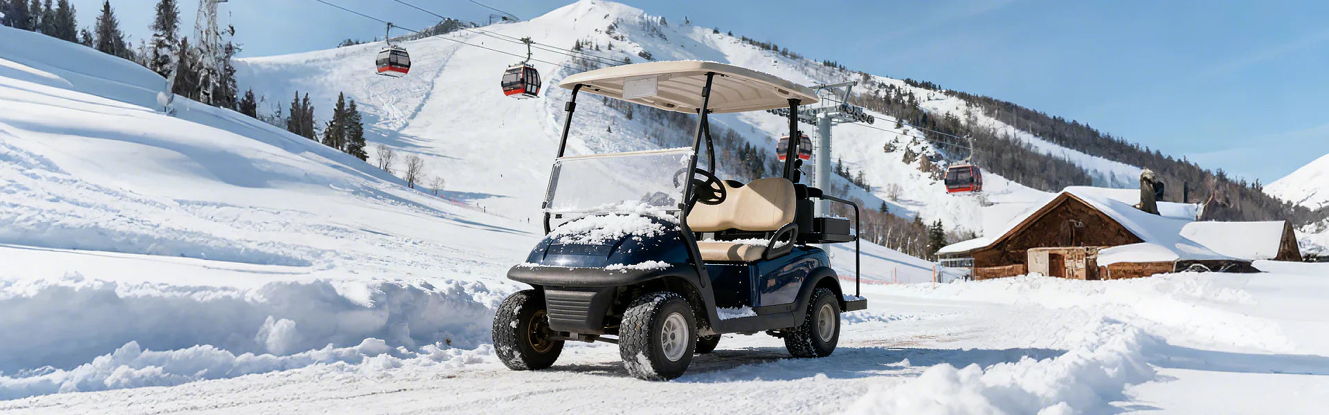 How Much Do Golf Cart Batteries Weigh