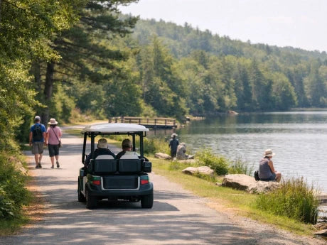 How Much Do 48V Golf Cart Batteries Cost?