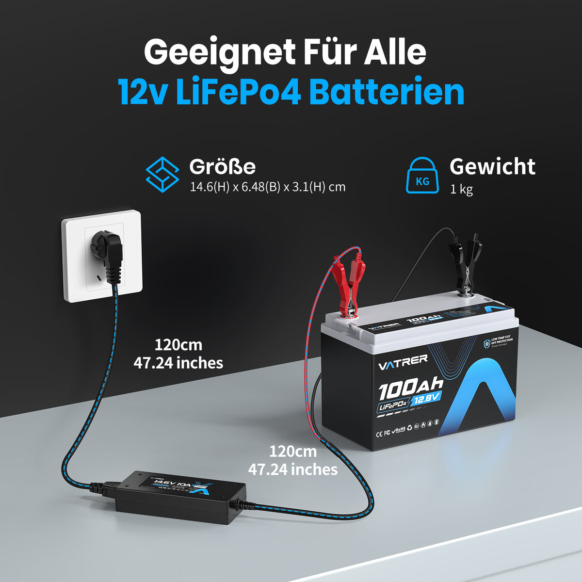 12V 10A lifepo4 battery charger 11