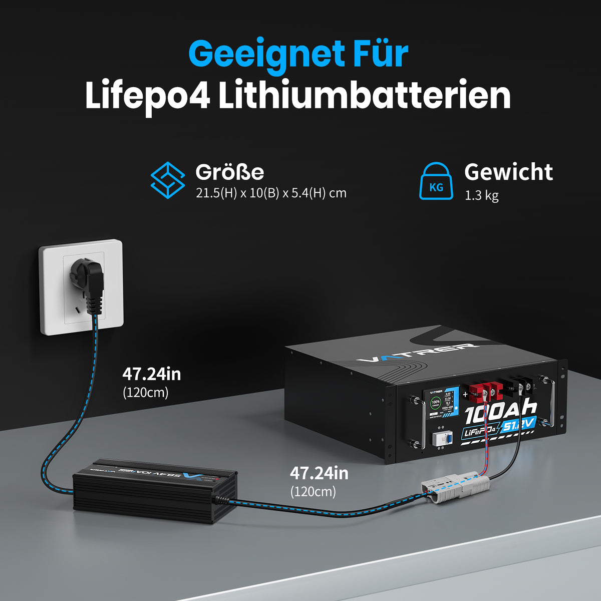 48V Lithium Battery Charger