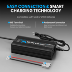 Vatrer 58.4V 10A AC-DC Charger for 48V Lithium Smart Technology