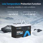 Vatrer 12V 100Ah Group 24 Low Temp Battery