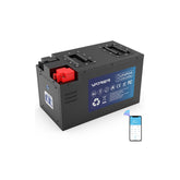 Vatrer 12V 230AH RV Battery Bluetooth Version, 200A BMS, Low Temp Cutoff, LiFePO4 Chemistry EU 3