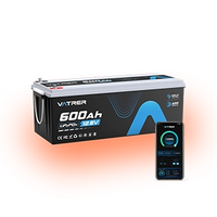 12V 600Ah Self-Heating