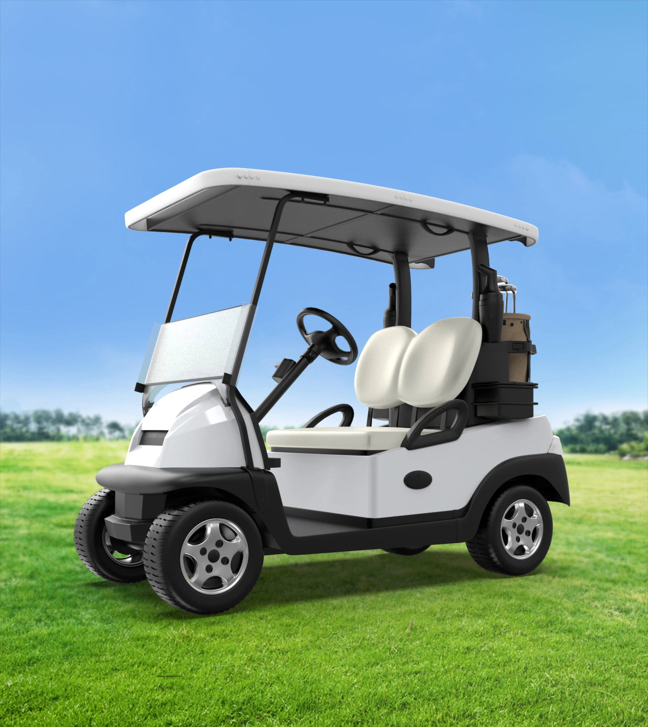 Golf cart battery 13